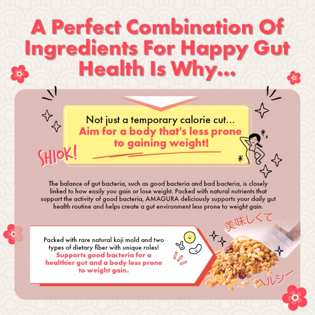AMAGURA Japanese Amazake Granola — healthy snack bundle