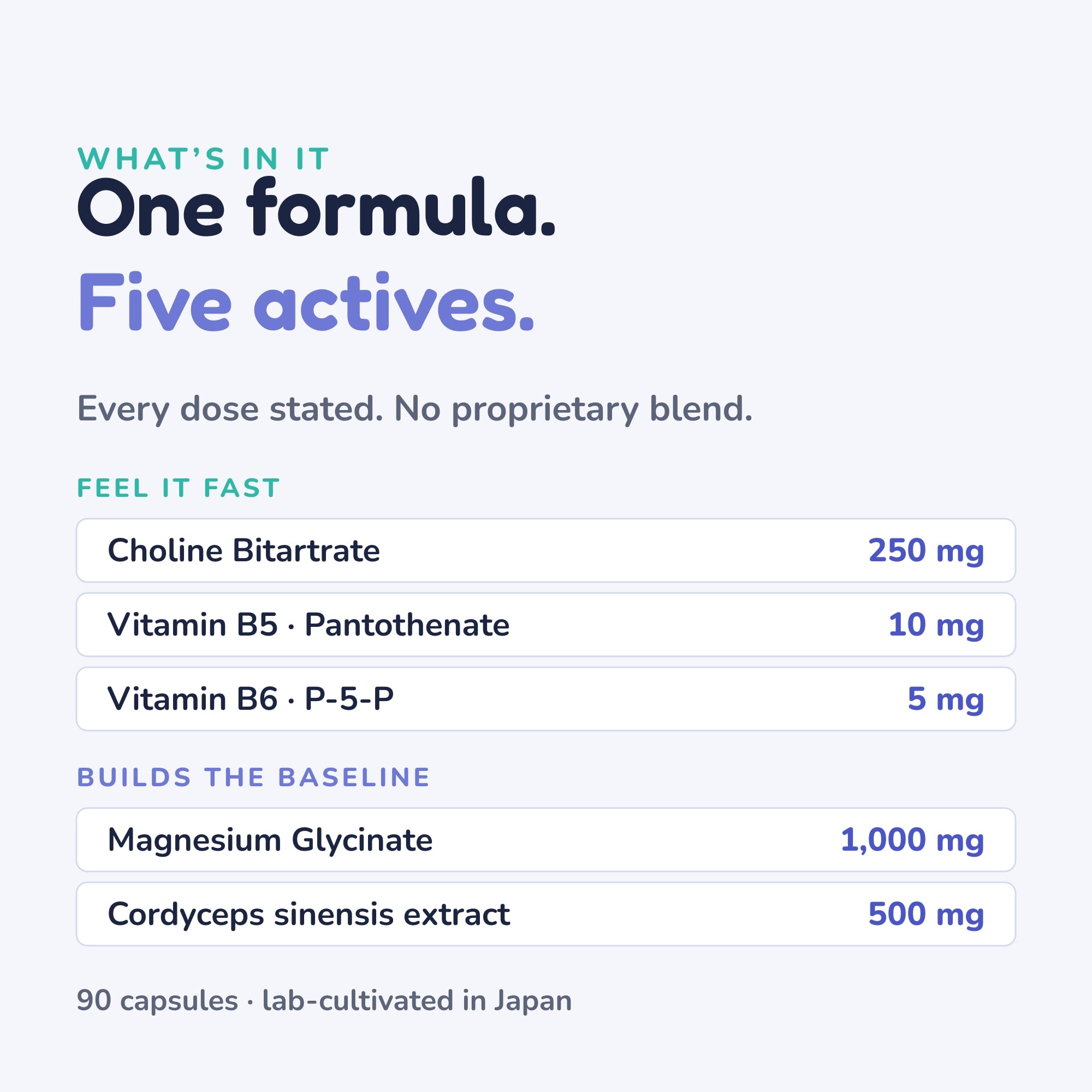 Neuro Enduro — the formula — five actives